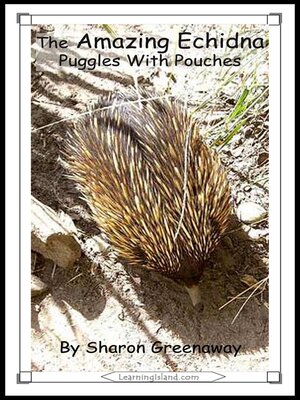 cover image of The Amazing Echidna